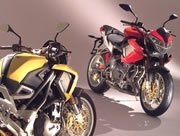 Benelli TNT 1130 2004