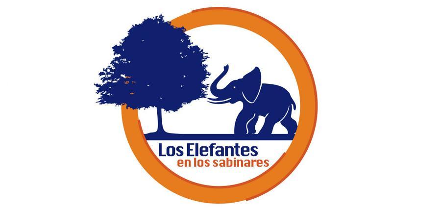 Metzeler prepara su primera concentración de moteros para el próximo junio