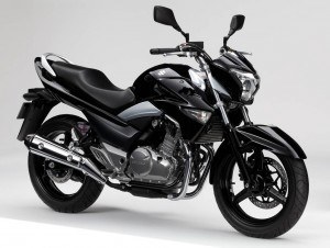 suzukiInazuma2