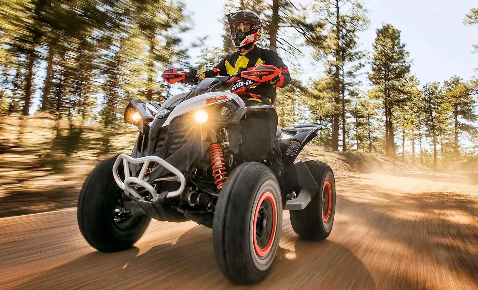 Can-Am Renegade 2016