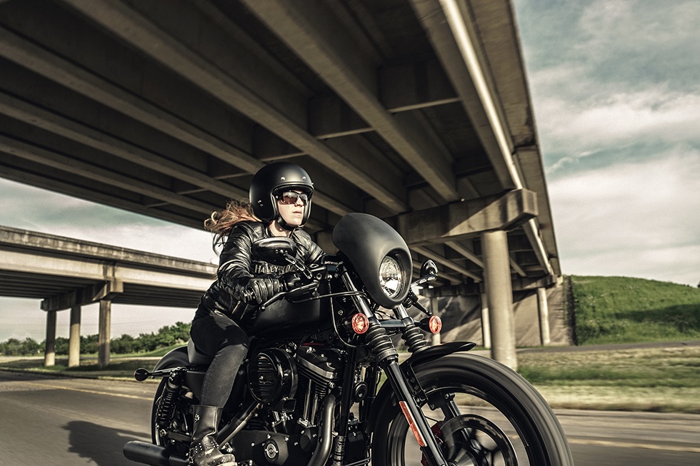 Harley-Davidson IRON 883, estética vintage